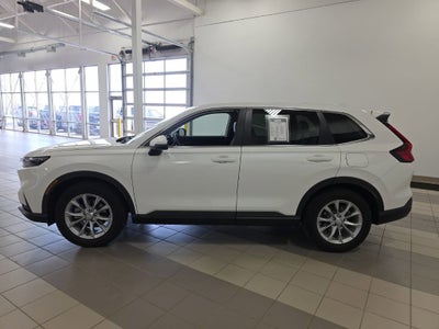 2025 Honda CR-V EX-L