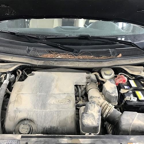 Snell Buick GMC in Mankato MN